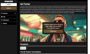 Mr Punter Casino Review 2026